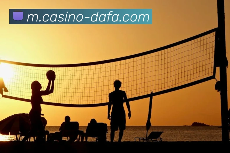 大发官网发展历程